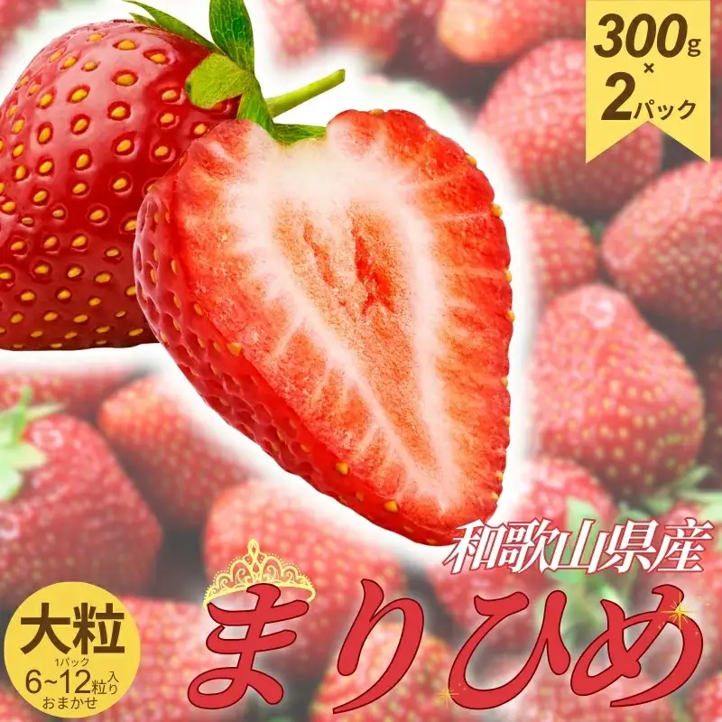 和歌山県産ブランドいちご「まりひめ」大粒系約300g×2パック入り【2026年12月中旬～2027年2月下旬頃より順次発送予定】【TM89】【TM92197-tec963A】