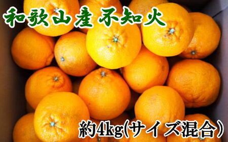 和歌山県産不知火約4kg（サイズ混合）【2027年2月下旬～2027年3月下旬頃に順次発送予定】【TM130】【TM92208-tec957】