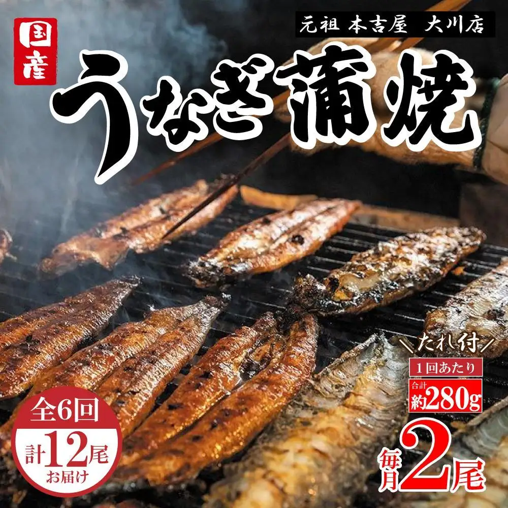【全6回定期便】元祖 本吉屋 大川店 老舗のうなぎ蒲焼き  2尾 × 3回 (合計12尾)