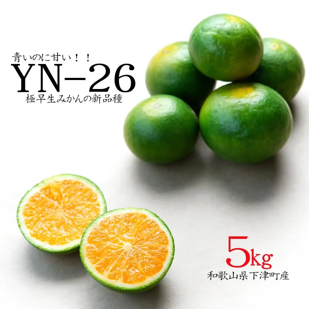【希少品種】極早生みかん(YN26) 小粒サイズ 訳あり 5kg 2026年9月より順次発送［Mg35］