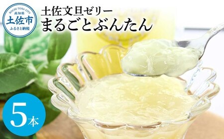 土佐文旦ゼリー『まるごとぶんたん』お試し5本セット 高知県土佐市 【土佐文旦産直協同組合】 [BQAH005]