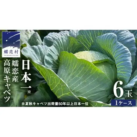 ＜レビューキャンペーン開催中＞ 【7月中旬発送開始】 嬬恋キャベツ 嬬恋産 高原 キャベツ 6玉 1ケース Lサイズ 先行予約 2026年発送 [AS007tu]