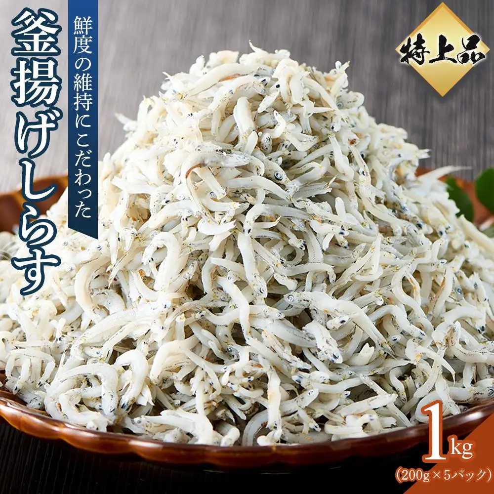 特上品 釜揚げ しらす 1.0kg（200g×5） 小分け ｜しらす しらす しらす しらす しらす