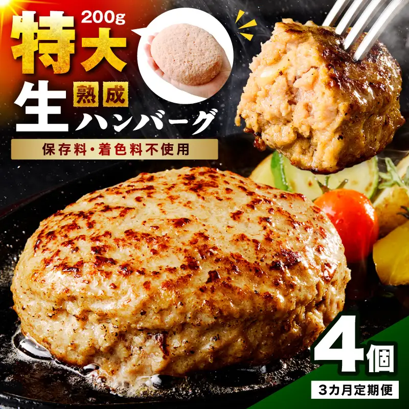 無添加特大ハンバーグ200g 毎月4個 3回定期便 最初の月+1個【087C-106】