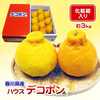 デコポン 不知火 化粧箱 柑橘 デコポン【約3kg 7〜15玉】 【46311551】