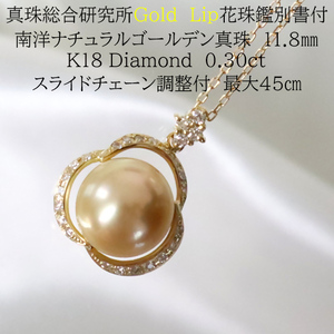 1553　【真珠総合研究所GoldLiｐ花珠鑑別書付】K18 南洋ナチュラルゴールデン真珠　11.8?o　ダイヤモンド0.30ct　ペンダントネックレス