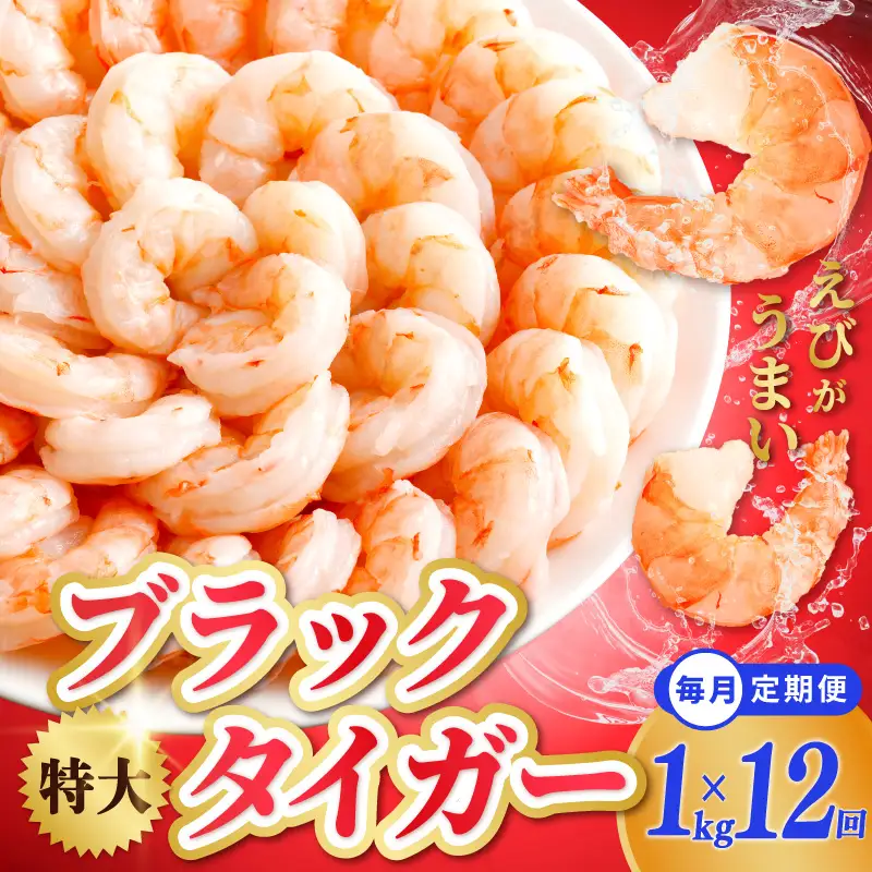 特大ブラックタイガー 定期便 1kg×全12回 むきえび 30-40尾 背ワタなし【毎月配送コース】