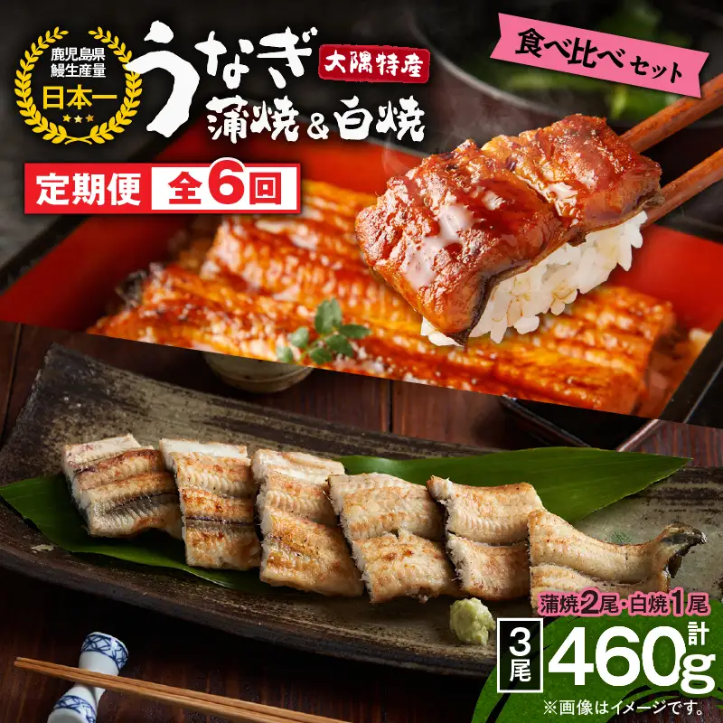 2492 【 定期 6回 】大隅特産 うなぎ蒲焼  2尾（340g）・ 白焼 1尾（120g）食べ比べセット KN060-T16 魚 冷凍 鰻
