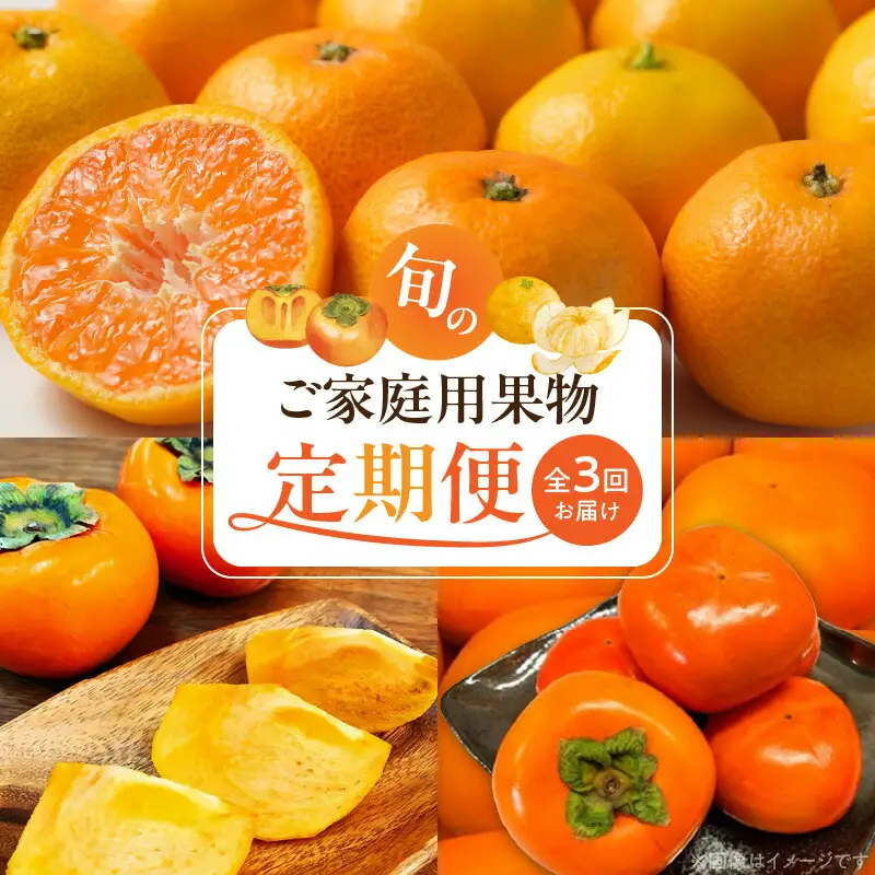 【定期便 全3回】紀州和歌山産旬のご家庭用果物セット（ひらたね・富有柿・みかん）_G60-T80