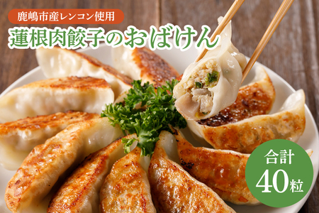【お試しサイズ】蓮根肉餃子のおばけん【40粒】【野菜 ギョーザ れんこん しゃきしゃき おいしい 食べきり 茨城県 鹿嶋市】（KBU-20）