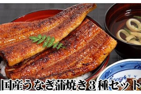 国産うなぎ蒲焼3種セット(B6-9)