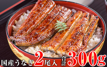 国産うなぎ蒲焼き大サイズ２本セット(B247-2)