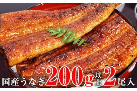 超特大国産うなぎ2本セット(1尾：200~229g)(B113-2)