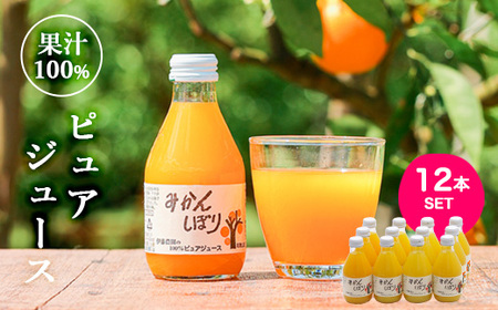 伊藤農園 100%ピュアジュース みかんしぼり180ml×12本（B651-3）
