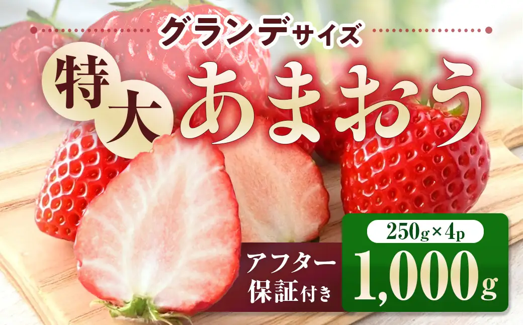 福岡県産 あまおう 1000g　先行予約 2027年1月～3月末にかけて順次発送　BA006-3