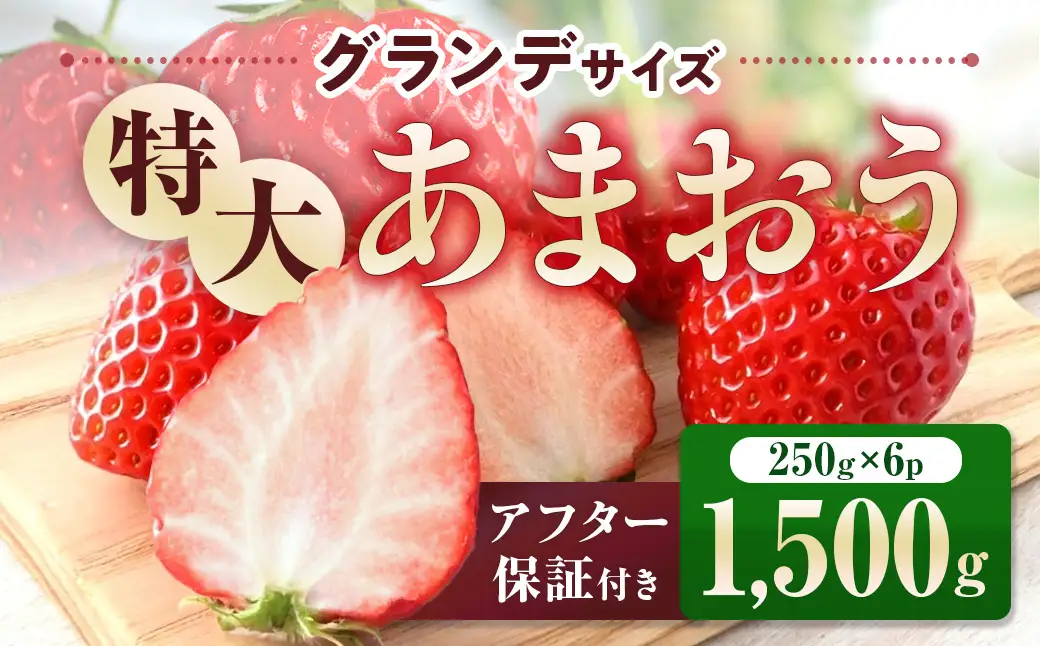 福岡県産 あまおう 1500g　先行予約 2027年1月～3月末にかけて順次発送　BA007-3