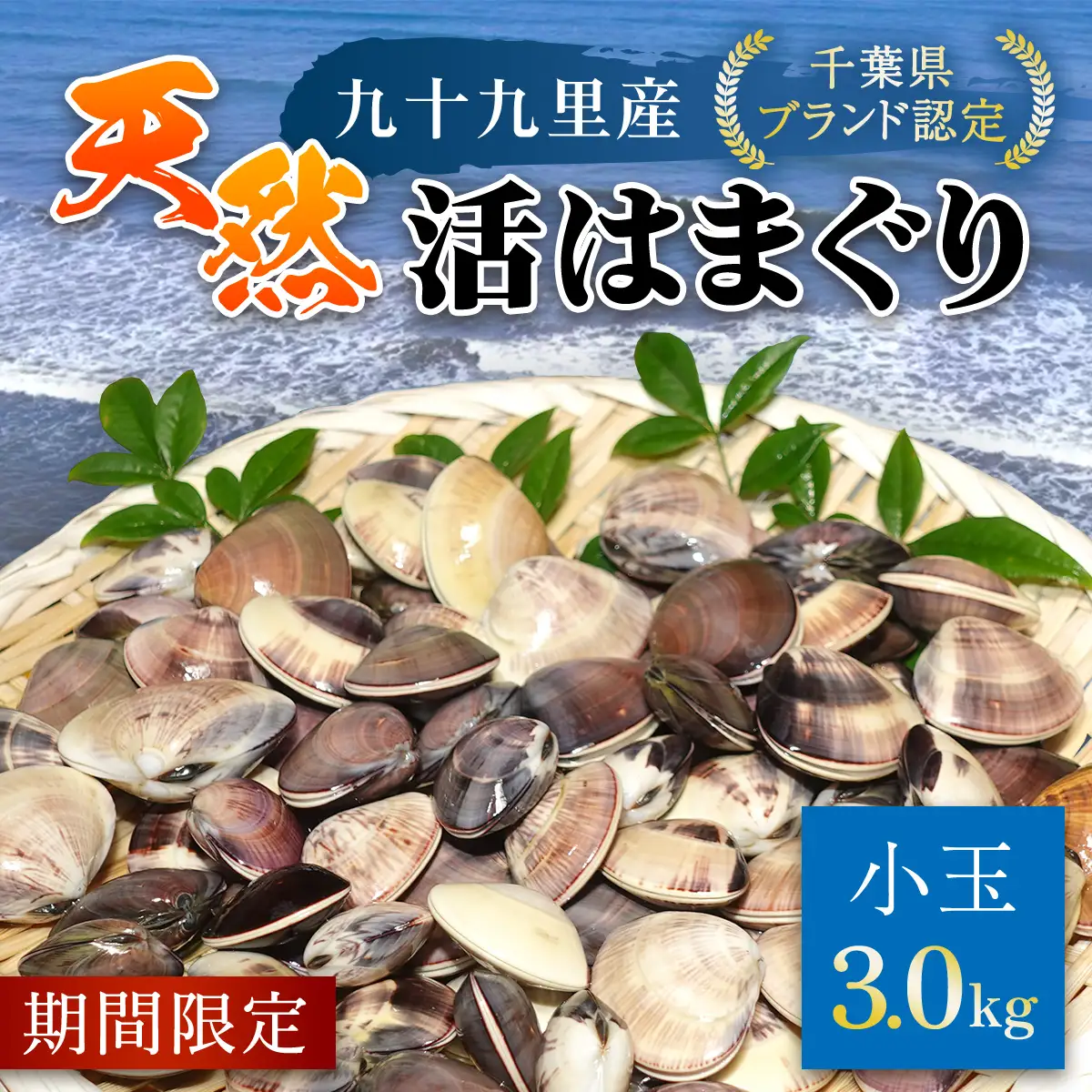 ＜先行受付/2027年5月より配送＞【千葉県ブランド認定】天然活はまぐり（小玉）《3㎏》ギフトBOX付き／ふるさと納税 はまぐり ハマグリ 蛤 貝類 魚介 海鮮 お吸い物 パスタ パエリア お歳暮 贈答 お祝い 千葉県 山武市 SMBO004