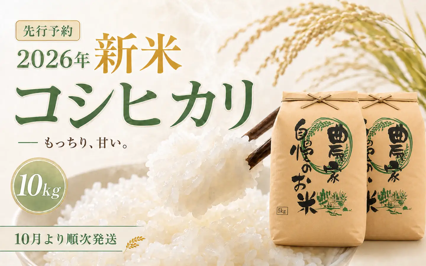 限定100件 【新米・先行予約】こしひかり 10kg 信濃町産 令和8年 精米 1等米比率9割超の信州米 2026年10月上旬発送予定 黒姫山麓 長野県信濃町