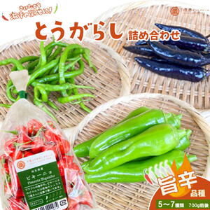 【十色とうがらしファーム】とうがらし＜旨辛＞品種詰合せ【11100-0808】