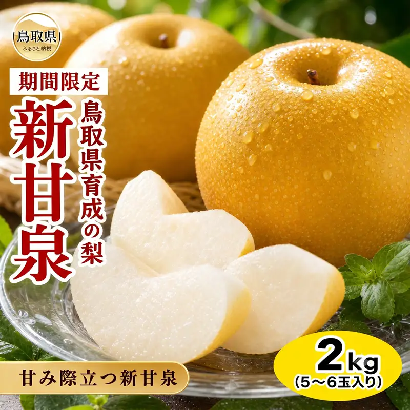 梨(新甘泉)【期間･数量限定】_T2600262 先行予約