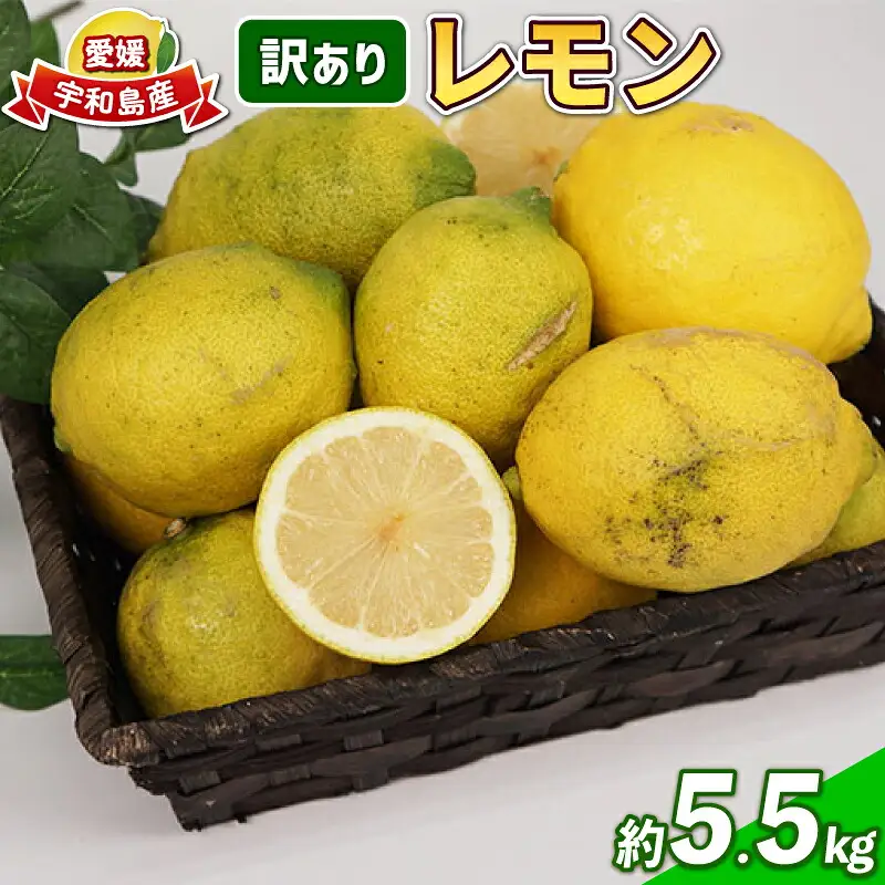 レモン 訳あり 5.5㎏ 陽だまりミカン レモン B010-050008