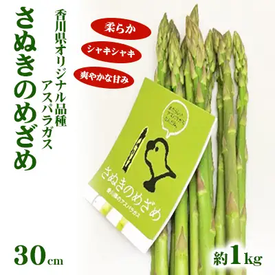 アスパラガス さぬきのめざめ セミロング アスパラガス【約1kg 30cm 2L〜L】 【46311644】