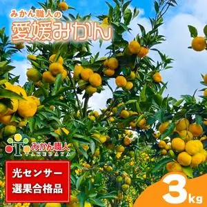 【先行予約】訳あり 愛媛みかん 3kg 人気 みかん 冬 秋 旬 厳選 光センサー選果 柑橘 かんきつ 果物 くだもの 国産  少量 お試し フルーツ スイーツ デザート ご褒美 みかん 蜜柑 大小 サイズ ミックス 不揃い 傷 温州 温州みかん 美味しい 農家直送 地場産品 こだわり みかん職人武田屋 愛媛県 愛南町