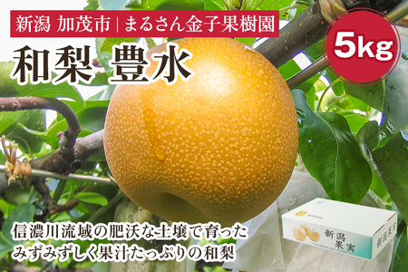 【2024年】【贈答用】和梨 豊水 5kg（9?14玉）《9月上旬から順次発送》 果物 なし 梨 フルーツ 新鮮 新潟のフルーツ産地 加茂市 まるさん金子果樹園 梨