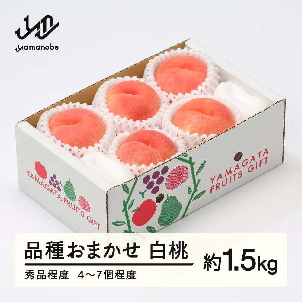 【先行予約】もも 桃 品種おまかせ 白桃 秀品程度 約1.5kg(4~7個程度) 2026年 山形県産 tf-moyws1500-b