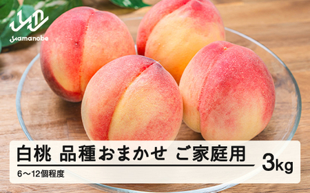 先行予約】もも 桃 品種おまかせ 白桃 ご家庭用 約3kg(6~12個程度