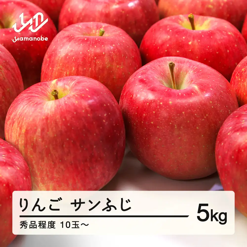 【先行予約】りんご サンふじ 2026年産 秀品程度 約5kg(10~20個程度) 山形県産 tf-risfs5