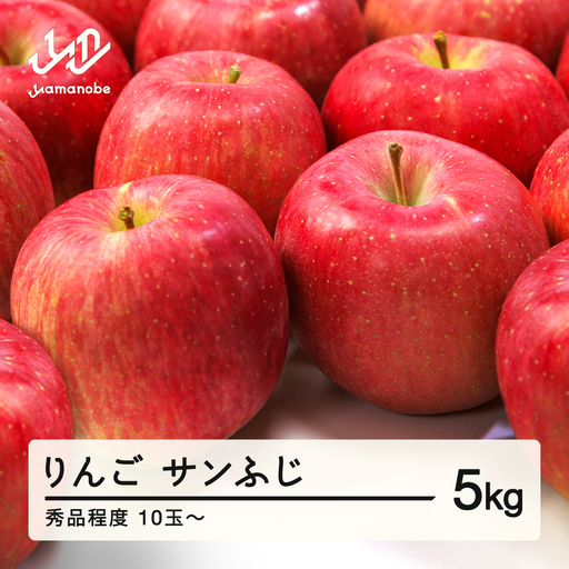 【先行予約】りんご サンふじ 2026年産 秀品程度 約5kg(10~20個程度) 山形県産 tf-risfs5