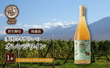 【酸化防止剤無添加】オレンジワイン1本◎野生酵母＆無濾過◎多田ワイナリー 