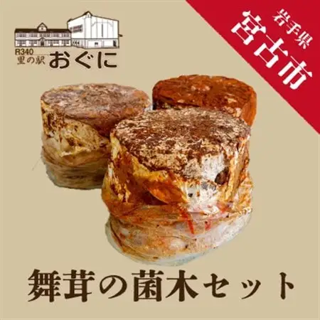 【家庭で楽しめる】舞茸の菌木　3個_野菜 しいたけ きのこ シイタケ 椎茸_【1290639】
