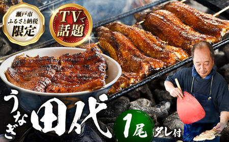 炭火焼き 国産うなぎ 蒲焼 1尾 / ウナギ 鰻 蒲焼 炭火 かば焼き / 瀬戸市 / うなぎ田代 [BBCA001]