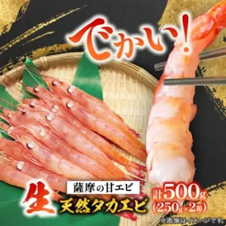 【薩摩の甘エビ】大きいサイズ　天然タカエビ500g　A1-10_魚介・海産物 甘エビ エビ あまえび 甘海老_【配送不可地域：離島】【1524580】