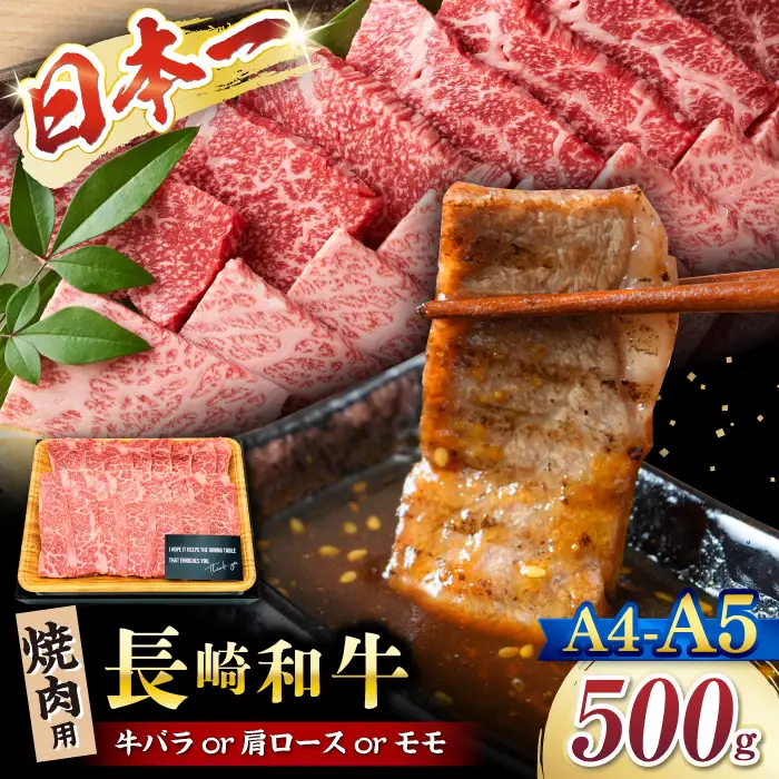長崎和牛 焼肉用 500g CFT001 和牛 焼肉