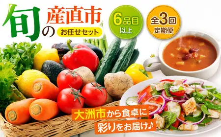 野菜セット【全3回定期便】野菜詰め合わせ（6種以上）[AGAP015]