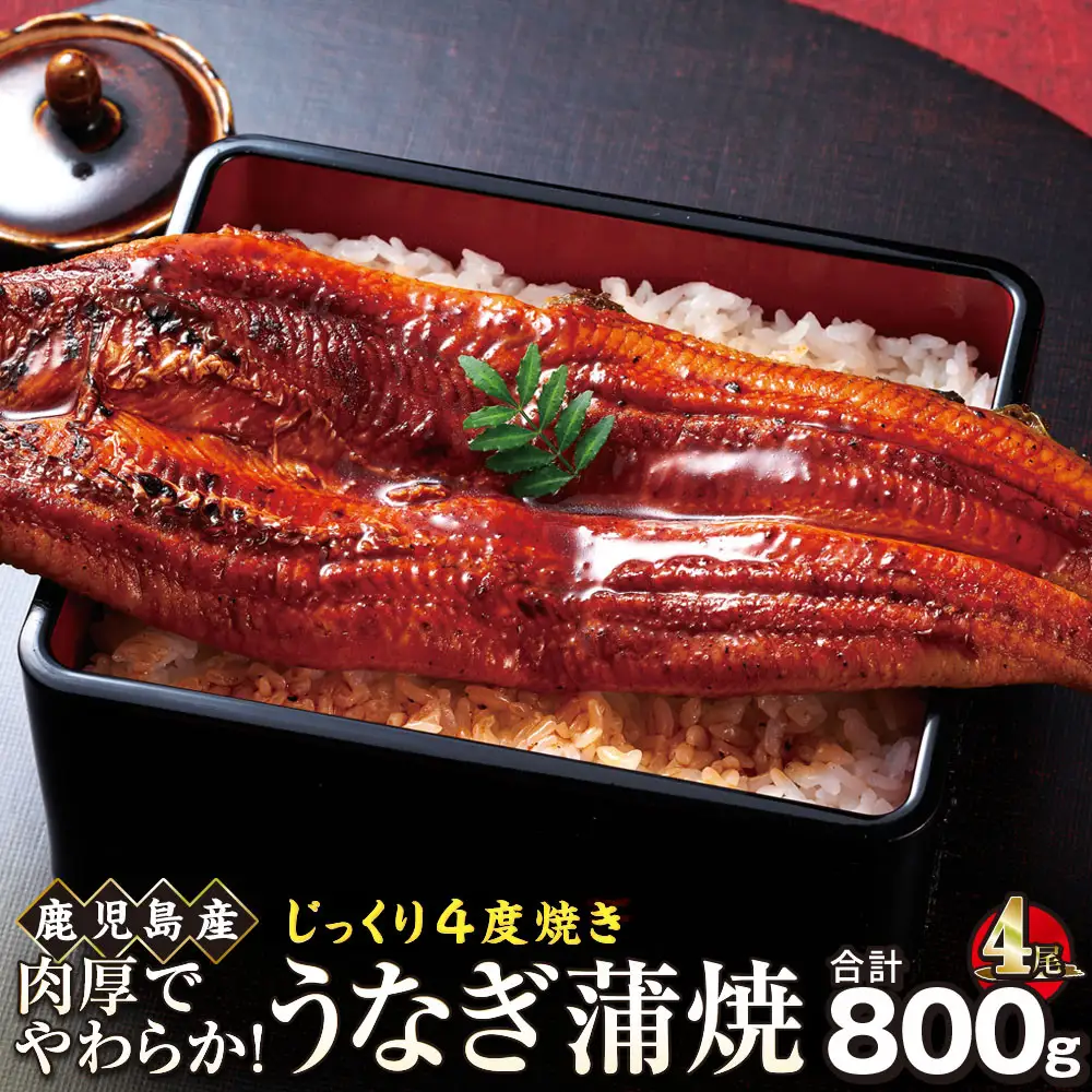 うなぎ 蒲焼 200g×4尾【鹿児島産】地下水で育てた絶品鰻｜うなぎ