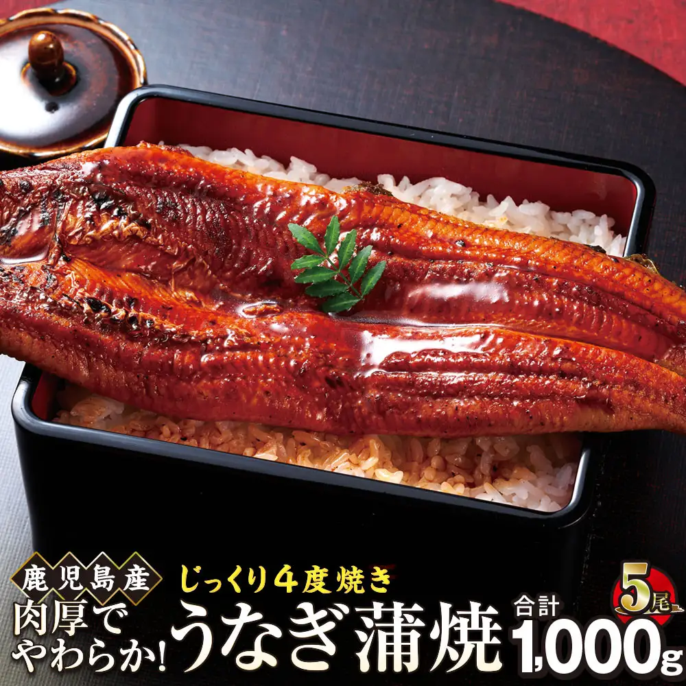 うなぎ 蒲焼 200g×5尾【鹿児島産】地下水で育てた絶品鰻｜うなぎ