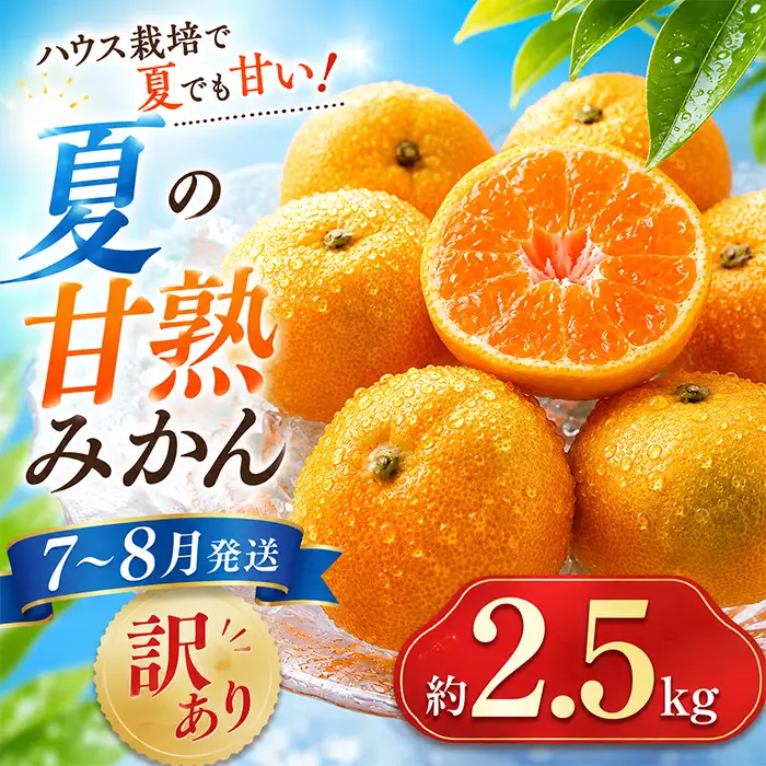 ハウスみかん (訳あり) 約2.5kg【オレンジ農園】 夏 果物 フルーツ 数量限定 期間限定 九州 大分県 ＜114-001＞