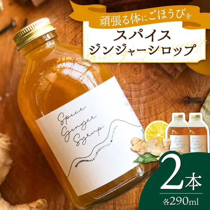 スパイスジンジャーシロップ(290ml×2本) / ジンジャー シロップ 自家製 生姜 自然 暮らし / 諫早市 / のんびり山　 [AHBA003]