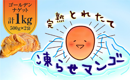 完熟 とれたて 凍らせ マンゴー 1kg （ ゴールデンナゲット ） C063-002 果物 フルーツ 冷凍