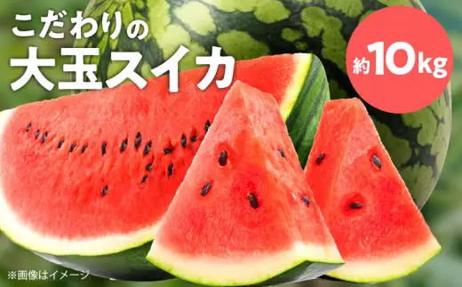 スイカ1玉(約10㎏級) N0195-YA3331