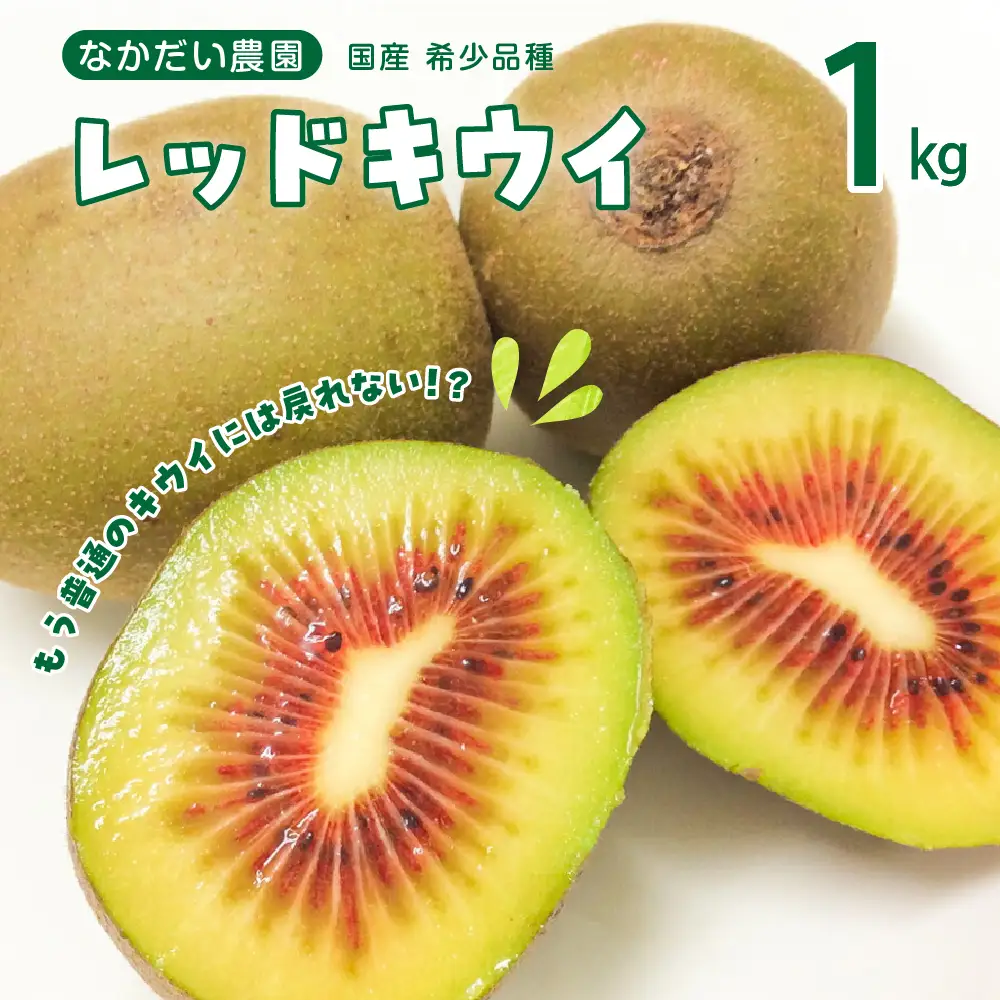 【先行受付】【2026年9月下旬～発送】希少品種「 レッドキウイ 」国産 約1kg ku033-002-26
