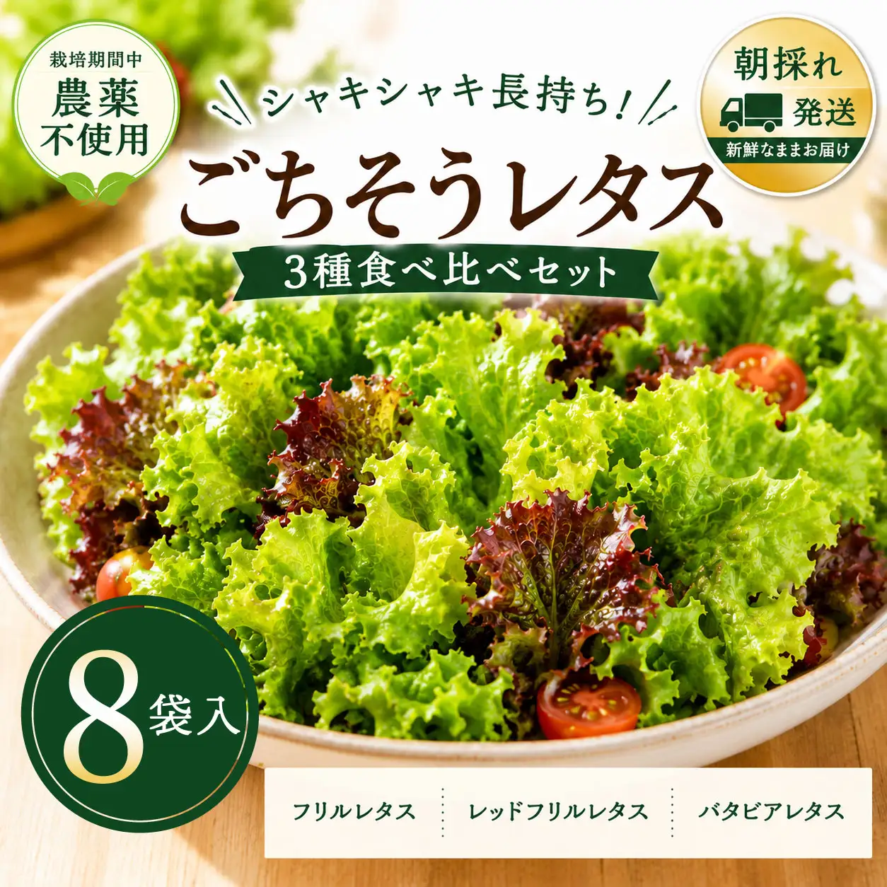 【朝採れ発送】ごちそうレタス 3種食べ比べセット（8袋・栽培期間中農薬不使用）