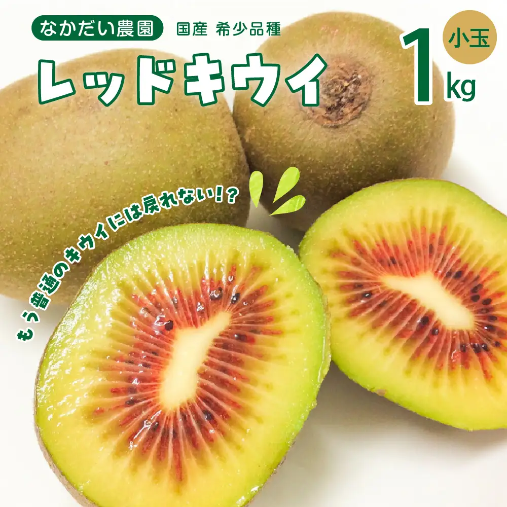 【先行受付】【2026年9月下旬～発送】【小玉】希少品種「 レッドキウイ 」国産 約1kg ku033-006-26