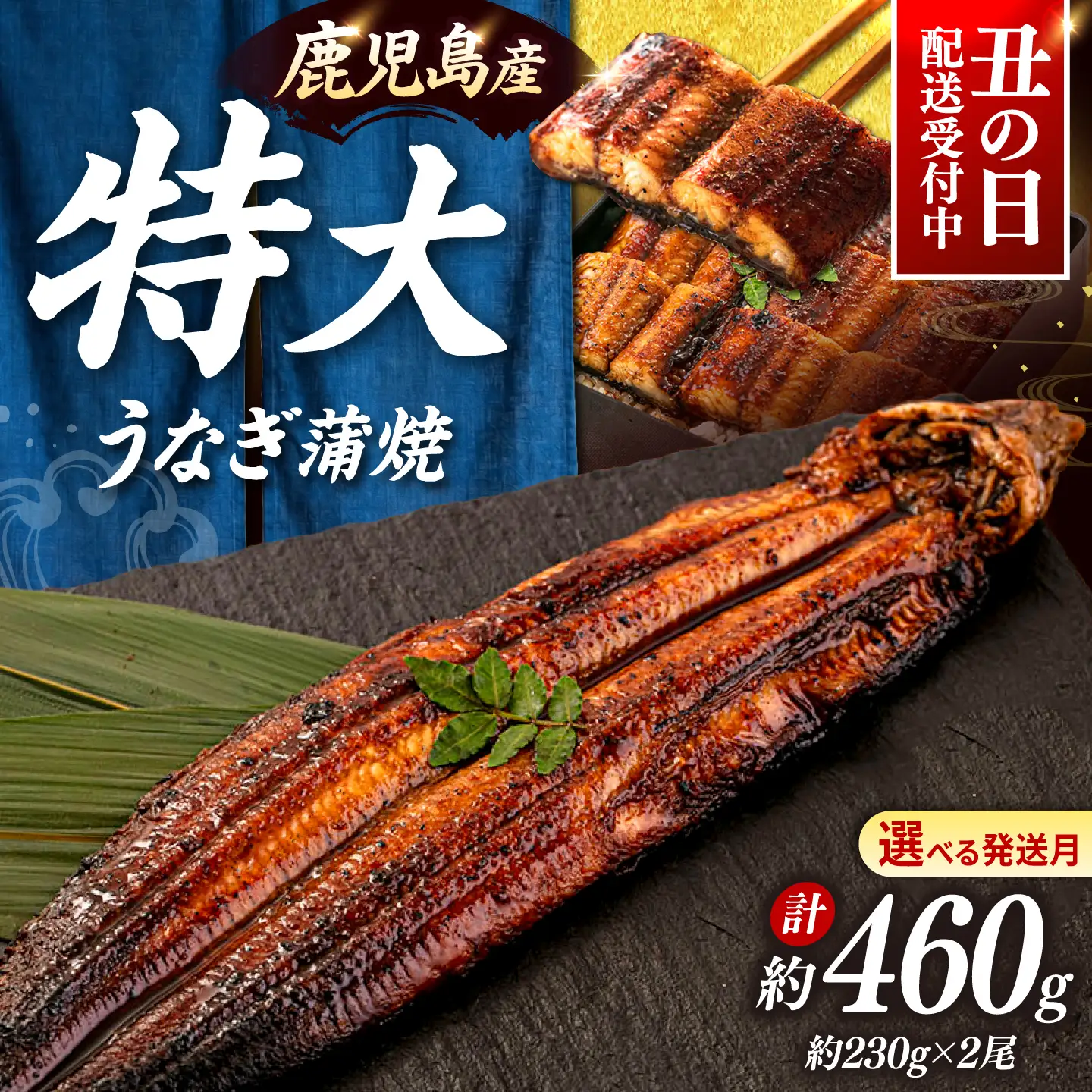 鹿児島産特上うなぎの蒲焼き 2尾 [ADAH008]うなぎの蒲焼き