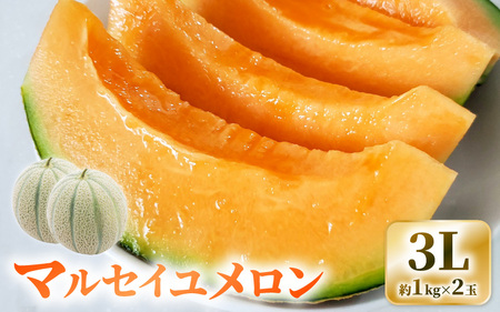 マルセイユメロン（赤肉メロン）3L 2玉入り（1玉：約1～1.3kg） 2027年6月上旬以降発送 [A-19207]
