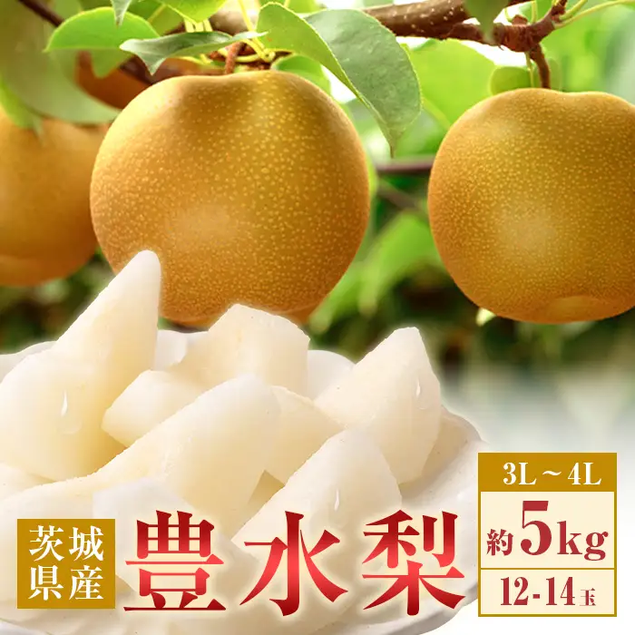 350 豊水梨 約5kg 12～14玉 3L～4L 梨 なし 【先行予約 2026年 8月下旬ころより順次発送予定】